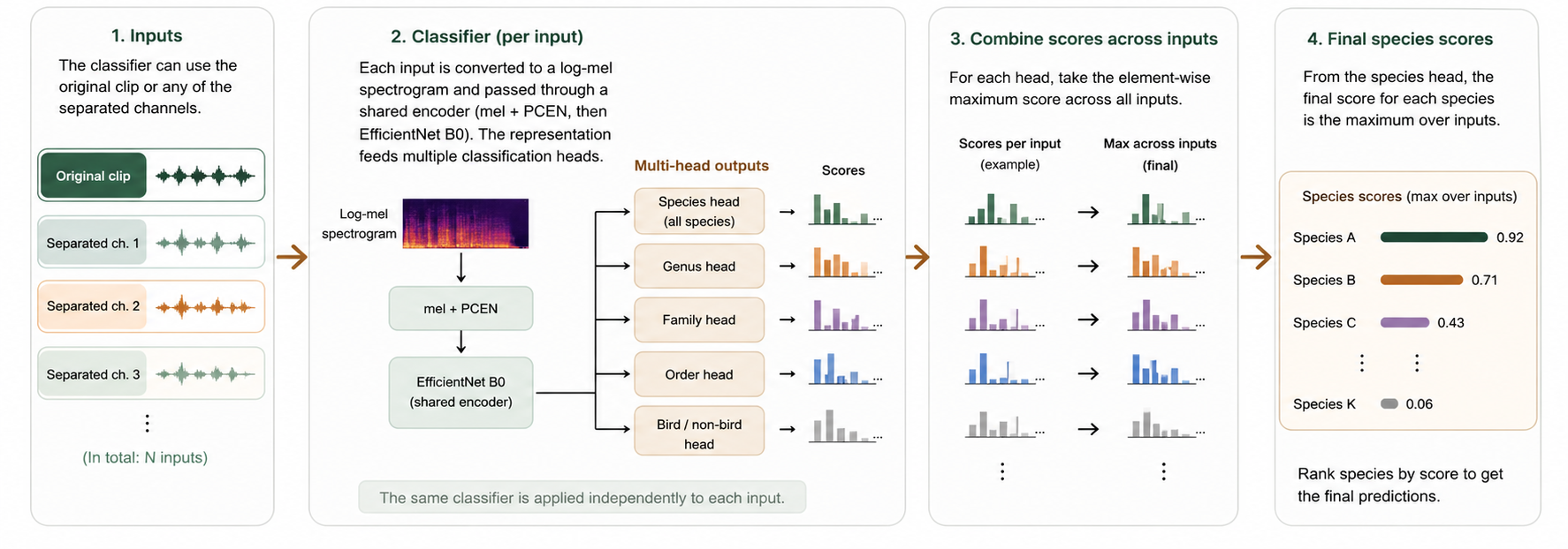 Classifier combines original and separated channels into species scores